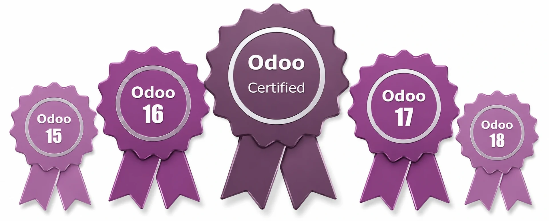 Odoo Certification